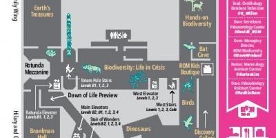 Peta Royal Ontario Museum tahap 2