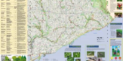 Peta taman dan berjalan di jalur Timur Toronto