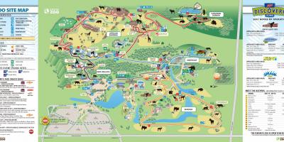 Peta Toronto zoo